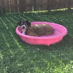 Peggy Hughes - @peggyavery78 - Instagram
