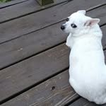 Peggy Ayers - @peggy_ayers - Instagram