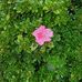 Peggy Ayers - Facebook