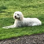 Peggy Ayers - @peggy.ayers7 - Instagram