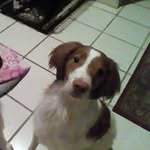 Peggy Ayers - @peggyayers9 - Instagram