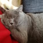 Peggy Bachmann - @peggy1.bachmann - Instagram