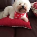 Margaret Bainbridge - Facebook