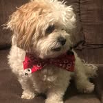 Peggy Bair Wolf - @peggybairwolf - Instagram