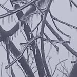 Peggy Baird - @peggy.baird.58 - Instagram