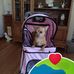 Peggy Ball - Facebook