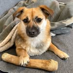 Madame Peggy - @peggybarrel - Instagram