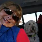 Peggy Bardall - @peggybardall75 - Instagram