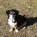 Peggy Barfield - Facebook