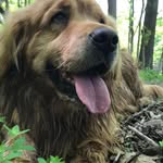 Peggy Mawhinney - @peggy.barta66 - Instagram