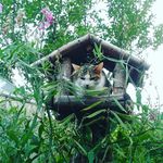 Peggy Bartl - @bartl.peggy - Instagram