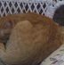 Peggy Bartlett - Facebook