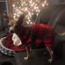 Peggy Bartz - Facebook