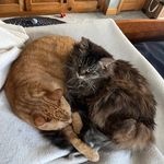 Peggy Bartz - @peggybartz33 - Instagram