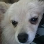 Peggy Barwick - @barwickpeggy - Instagram