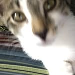 Peggy Baugh - @peggy.baugh - Instagram