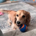 Peggy J. Baugh - @pjbaugh - Instagram