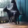 bayerpeggy - @bayerpeggy - TikTok