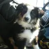 Peggy Bean - @avsclark2013 - TikTok