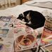 Peggy Beaver - Facebook