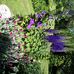 Margaret Belanger - Facebook