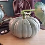 Peggy English-Benandi - @englishbenandi - Instagram