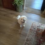 Peggy Bentley - Facebook
