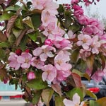 Peggy Karnes - @peggybentleykarnes - Instagram