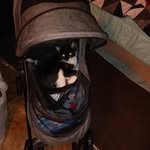 Peggy Bergeson - @pbergeson - Instagram