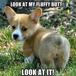 Peggy Biddle - Facebook