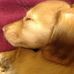 Peggy Biles - Facebook