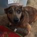Peggy Billman - Facebook