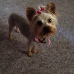 Peggy Birdwell - @peggybirdwell - Instagram