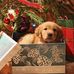 Peggy Blanton - Facebook