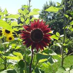 Peggy Bock Jones - @jonespeg8 - Instagram