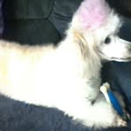 Peggy Boling - Facebook