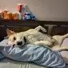 peggyboling46 - @peggyboling46 - TikTok
