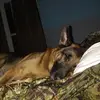 Peggy Bond - @peggy.bond - TikTok