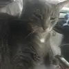 peggybondo1960 - @random42318 - TikTok