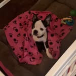 Peggy Schnauffer-Booth - @peggy_booth1961 - Instagram