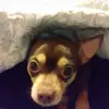 sunshine - @peggyboring1 - TikTok