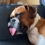 Peggy Moya - @peggyboxermoya - Instagram