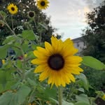 Peggy Boyer - @boyerp1956 - Instagram