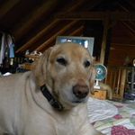 Peggy Boyer - @peggyjboyer - Instagram