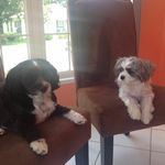 Peggy Boyer - @boyer.peggy - Instagram
