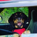 Peggy Boyer - @boyer_peggy - Instagram