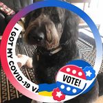 Peggy Boyle Goldberg - @peggy356 - Instagram