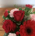 Branham Peggy - Facebook