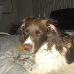 Peggy - @peggy_bree - Instagram