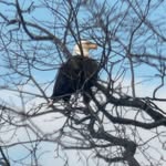 Peggy Bridges Horton - @peggy_b_horton - Instagram